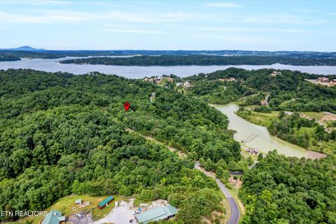 Tiny photo for Tranquility Tr, Dandridge, TN 37725 (MLS # 1323329)