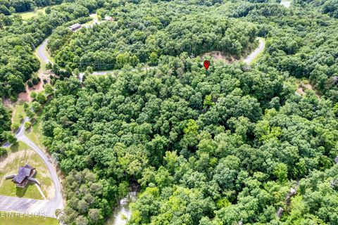 Tiny photo for Tranquility Tr, Dandridge, TN 37725 (MLS # 1323329)
