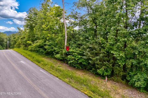Tiny photo for Tranquility Tr, Dandridge, TN 37725 (MLS # 1323329)