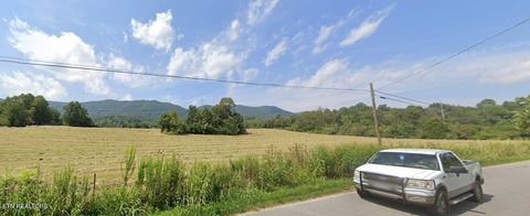 Tiny photo for 2702 Old Highway 63, Speedwell, TN 37870 (MLS # 1331066)