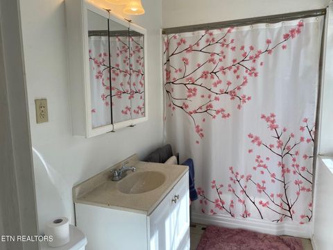 Tiny photo for 1011 Honeysuckle Drive, Newport, TN 37821 (MLS # 1338526)