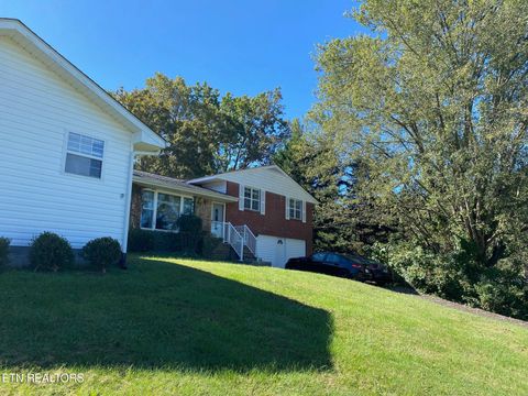 Photo of 1011 Honeysuckle Drive, Newport, TN 37821 (MLS # 1338526)