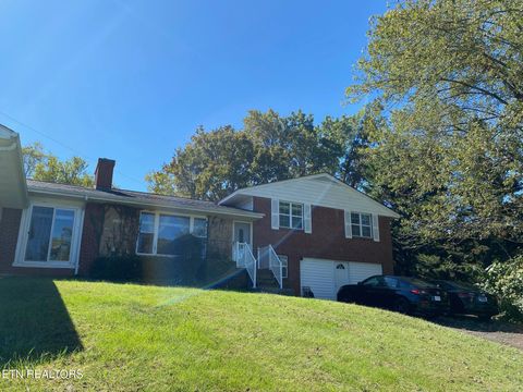 Tiny photo for 1011 Honeysuckle Drive, Newport, TN 37821 (MLS # 1338526)