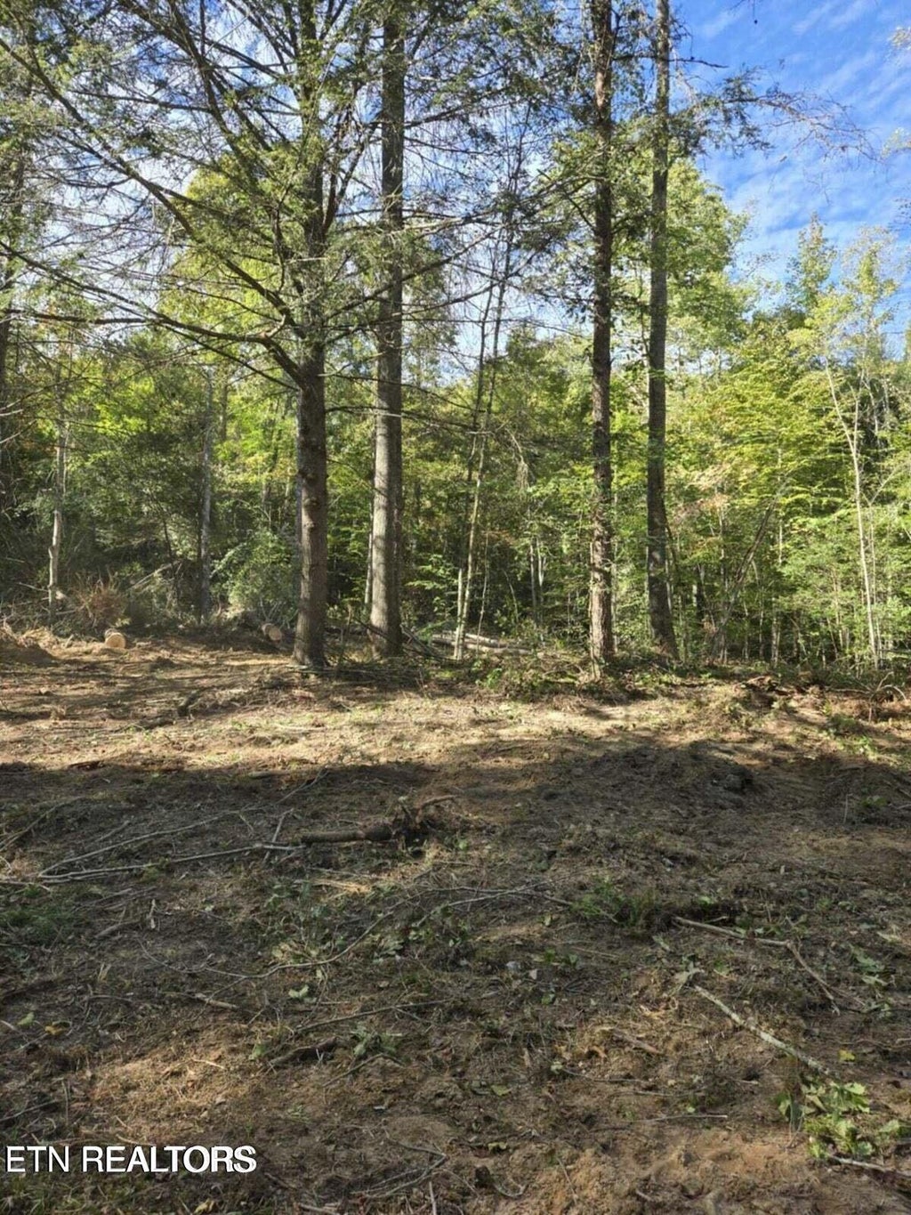 Photo of 176 Fox Lane, Mooresburg, TN 37811 (MLS # 1359937)
