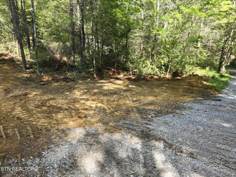 Tiny photo for 176 Fox Lane, Mooresburg, TN 37811 (MLS # 1359937)