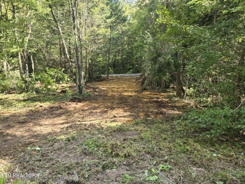 Tiny photo for 176 Fox Lane, Mooresburg, TN 37811 (MLS # 1359937)