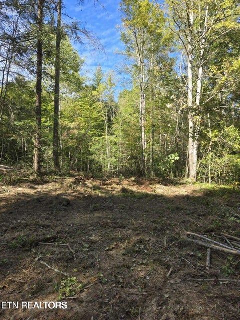 Photo of 176 Fox Lane, Mooresburg, TN 37811 (MLS # 1359937)