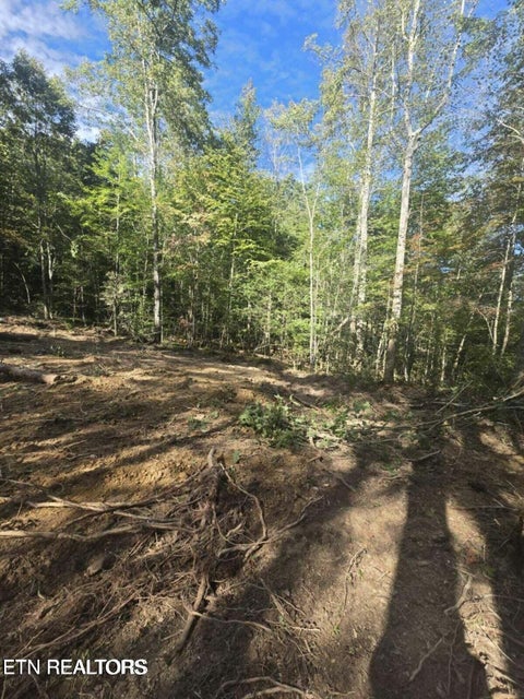 Tiny photo for 176 Fox Lane, Mooresburg, TN 37811 (MLS # 1359937)
