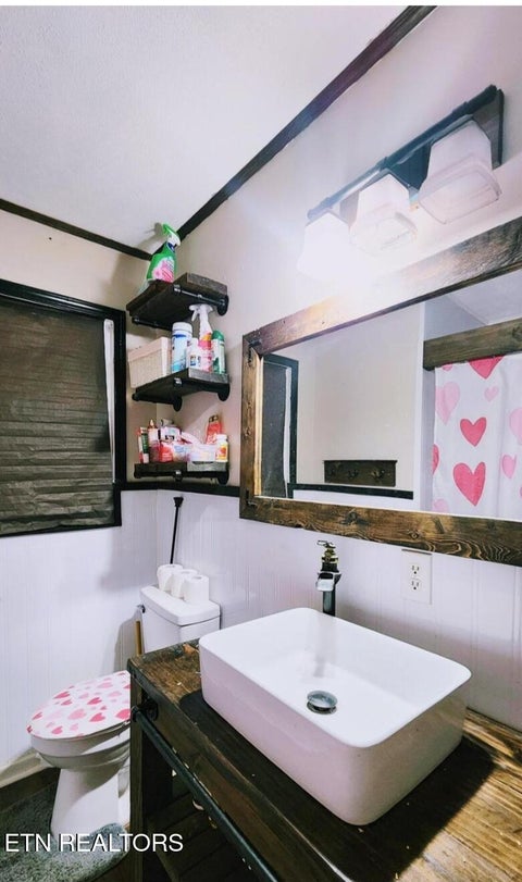 Tiny photo for 111 Raymond Bingham Rd, Oakdale, TN 37829 (MLS # 1355757)