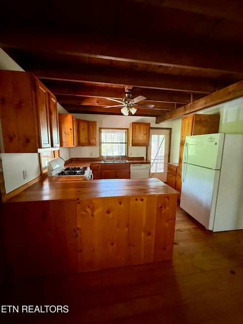 Tiny photo for 4273 Possum Hollow Rd, Cosby, TN 37722 (MLS # 1338477)