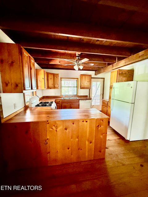 Tiny photo for 4273 Possum Hollow Rd, Cosby, TN 37722 (MLS # 1338477)