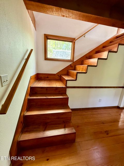 Tiny photo for 4273 Possum Hollow Rd, Cosby, TN 37722 (MLS # 1338477)