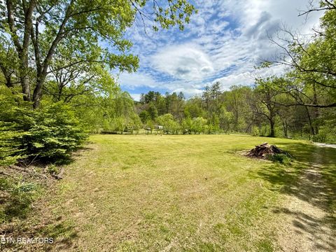 Tiny photo for 4273 Possum Hollow Rd, Cosby, TN 37722 (MLS # 1338477)