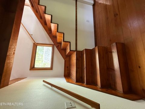 Tiny photo for 4273 Possum Hollow Rd, Cosby, TN 37722 (MLS # 1338477)