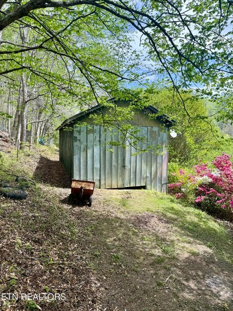 Tiny photo for 4273 Possum Hollow Rd, Cosby, TN 37722 (MLS # 1338477)