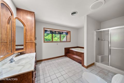 Tiny photo for 1923 Chestnut Grove Rd, Knoxville, TN 37932 (MLS # 1347493)