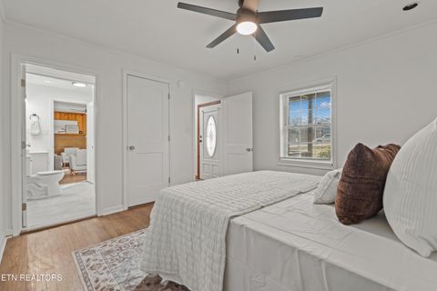 Tiny photo for 5604 W W Martin Mill Pike, Knoxville, TN 37920 (MLS # 1328105)