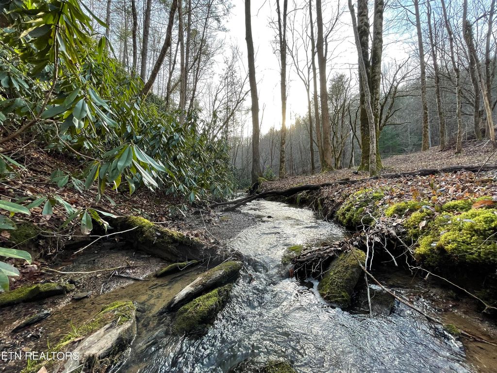 Photo of 925915 Newcombe Branch Way, Cosby, TN 37722 (MLS # 1309099)