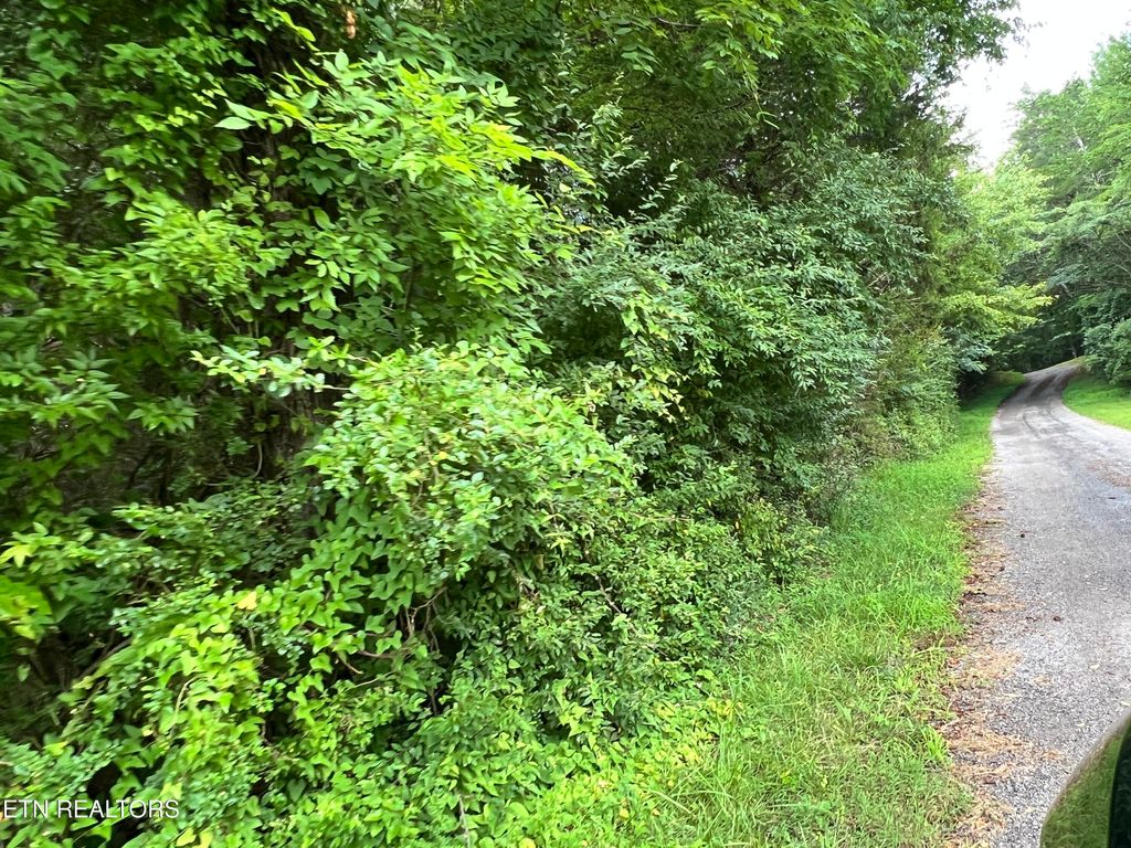 Photo of Lot 6 Willie Prigmore Rd, Decatur, TN 37322 (MLS # 1310663)