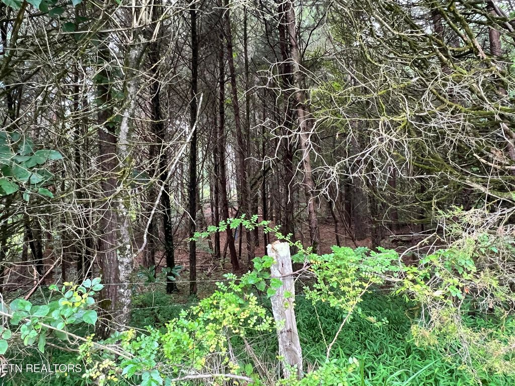 Photo of Lot 6 Willie Prigmore Rd, Decatur, TN 37322 (MLS # 1310663)