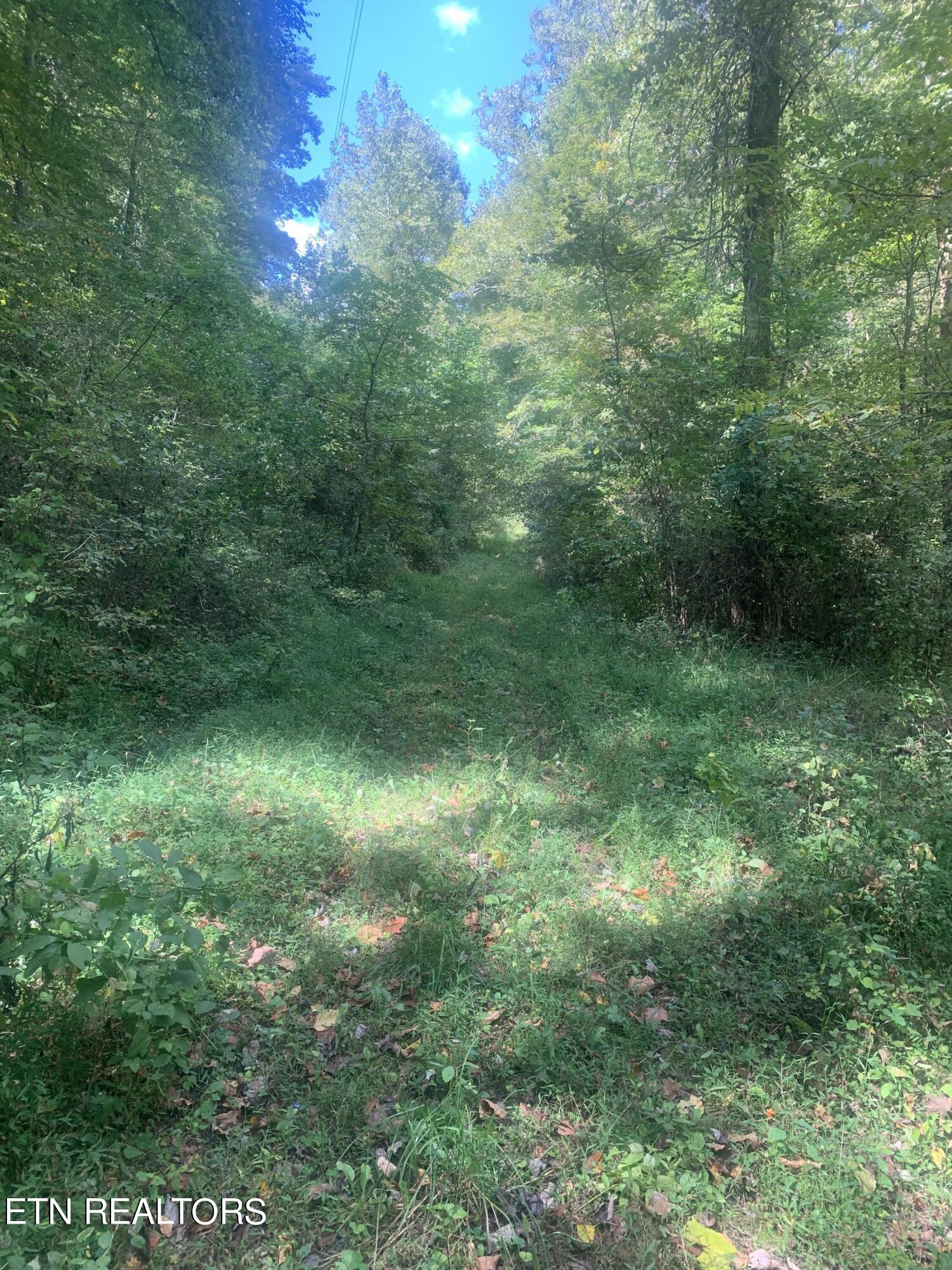 View Clairfield, TN 37715 land