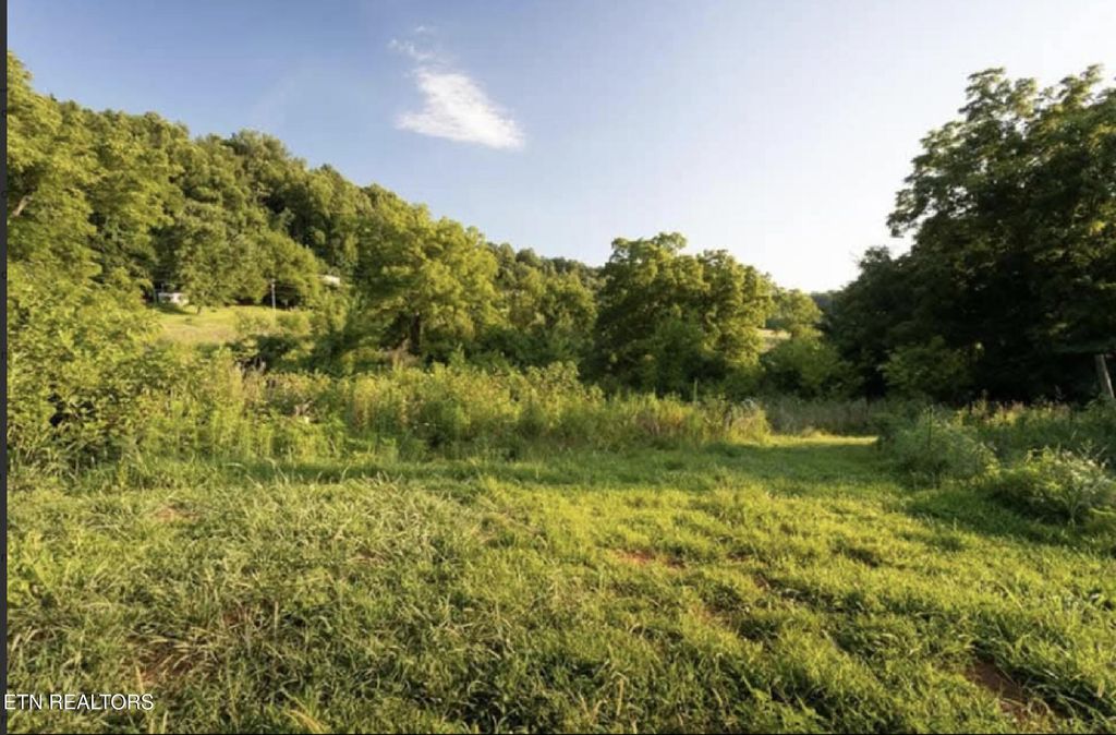 Photo of 2131 Hiwassee Rd, Sweetwater, TN 37874 (MLS # 1333669)