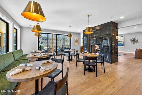 Tiny photo for 130 Mills Park Rd #9, Gatlinburg, TN 37738 (MLS # 1325382)