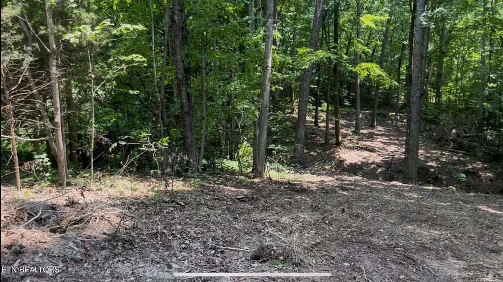 Photo of 215 Redwood Drive, Dandridge, TN 37725 (MLS # 1297918)