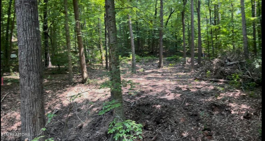 Photo of 215 Redwood Drive, Dandridge, TN 37725 (MLS # 1297918)