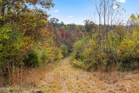 Tiny photo for 0 Williams Bend Rd, Knoxville, TN 37932 (MLS # 1320398)