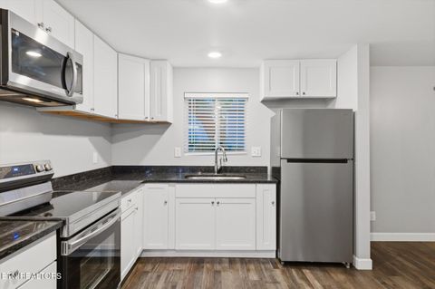 Tiny photo for 707 Wright St, Sweetwater, TN 37874 (MLS # 1328262)