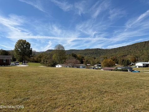 Photo of 910 Woodvine St, Jacksboro, TN 37757 (MLS # 1319108)