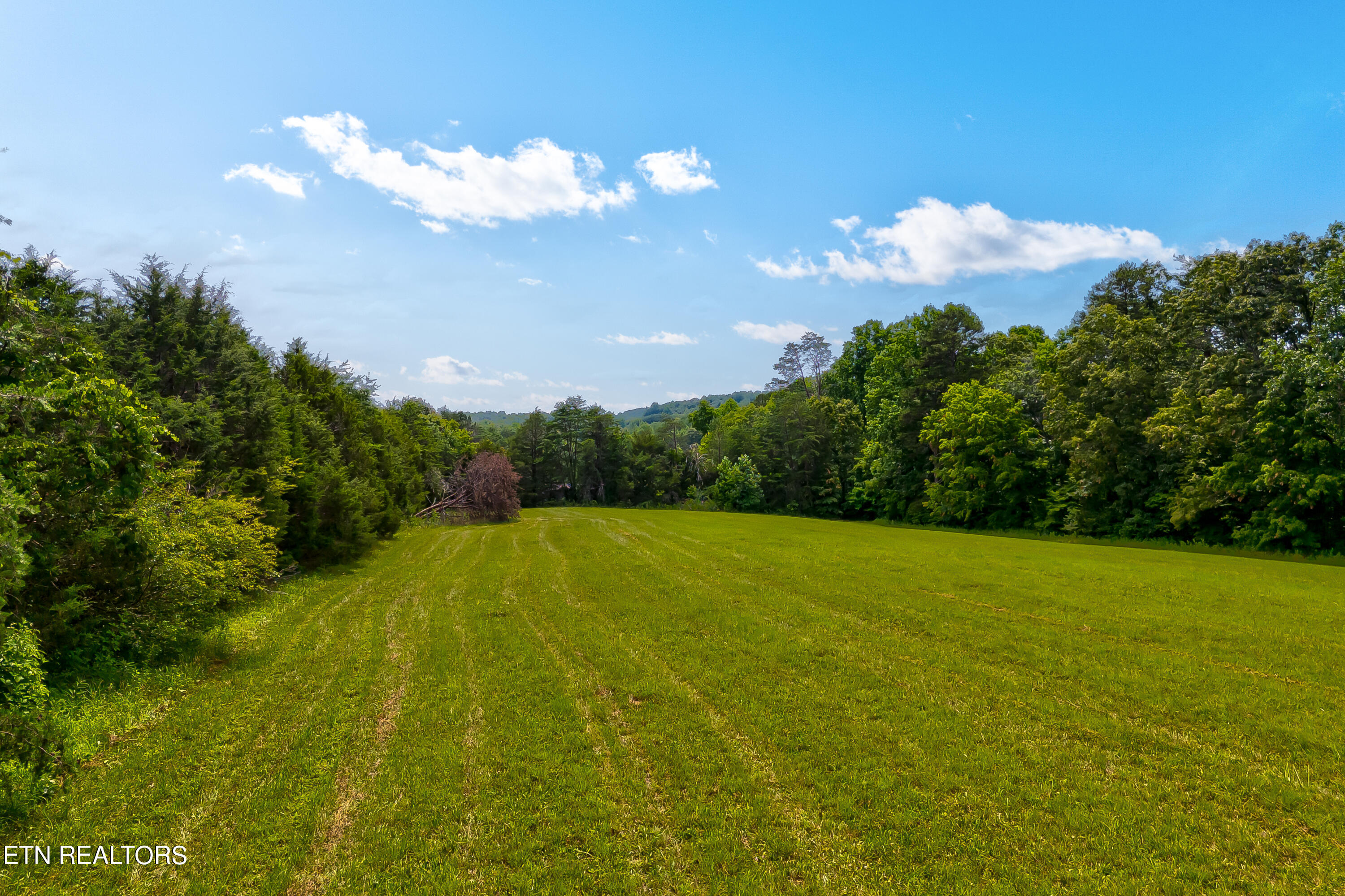 View Madisonville, TN 37354 land