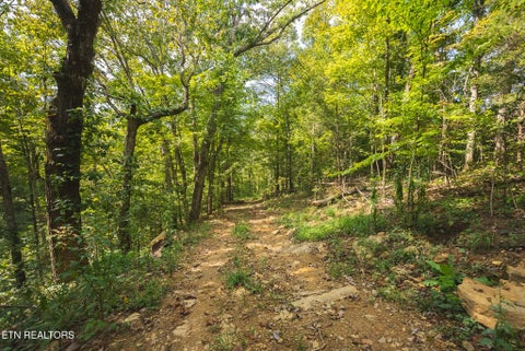 Tiny photo for 80 Rocky Hollow Rd, Rogersville, TN 37857 (MLS # 1356113)
