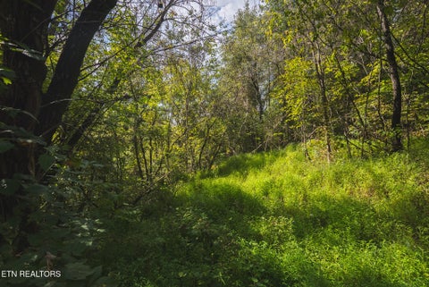 Tiny photo for 80 Rocky Hollow Rd, Rogersville, TN 37857 (MLS # 1356113)