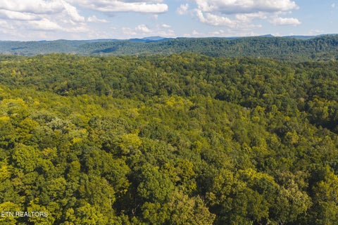Tiny photo for 80 Rocky Hollow Rd, Rogersville, TN 37857 (MLS # 1356113)