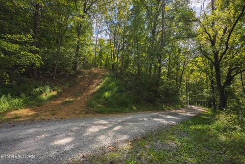 Tiny photo for 80 Rocky Hollow Rd, Rogersville, TN 37857 (MLS # 1356113)