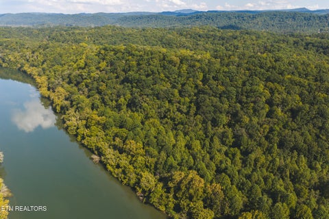 Tiny photo for 80 Rocky Hollow Rd, Rogersville, TN 37857 (MLS # 1356113)