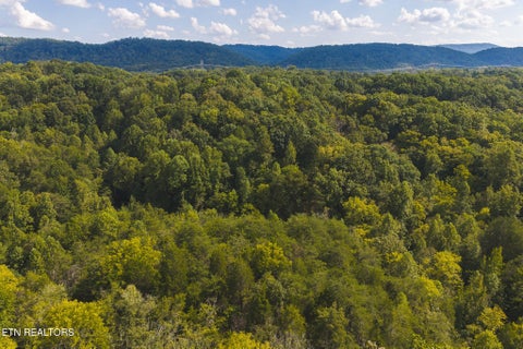 Tiny photo for 80 Rocky Hollow Rd, Rogersville, TN 37857 (MLS # 1356113)