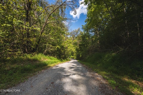Tiny photo for 80 Rocky Hollow Rd, Rogersville, TN 37857 (MLS # 1356113)