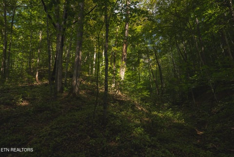 Tiny photo for 80 Rocky Hollow Rd, Rogersville, TN 37857 (MLS # 1356113)