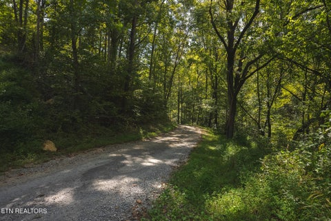 Tiny photo for 80 Rocky Hollow Rd, Rogersville, TN 37857 (MLS # 1356113)