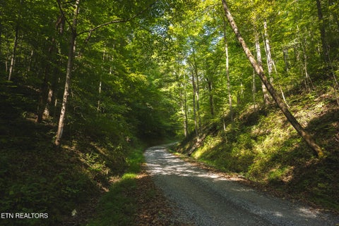 Tiny photo for 80 Rocky Hollow Rd, Rogersville, TN 37857 (MLS # 1356113)