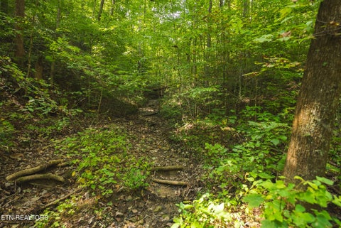 Tiny photo for 80 Rocky Hollow Rd, Rogersville, TN 37857 (MLS # 1356113)