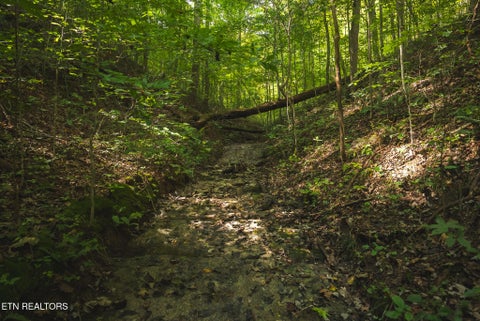 Tiny photo for 80 Rocky Hollow Rd, Rogersville, TN 37857 (MLS # 1356113)