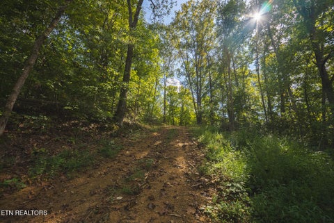 Tiny photo for 80 Rocky Hollow Rd, Rogersville, TN 37857 (MLS # 1356113)