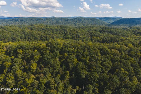 Tiny photo for 80 Rocky Hollow Rd, Rogersville, TN 37857 (MLS # 1356113)