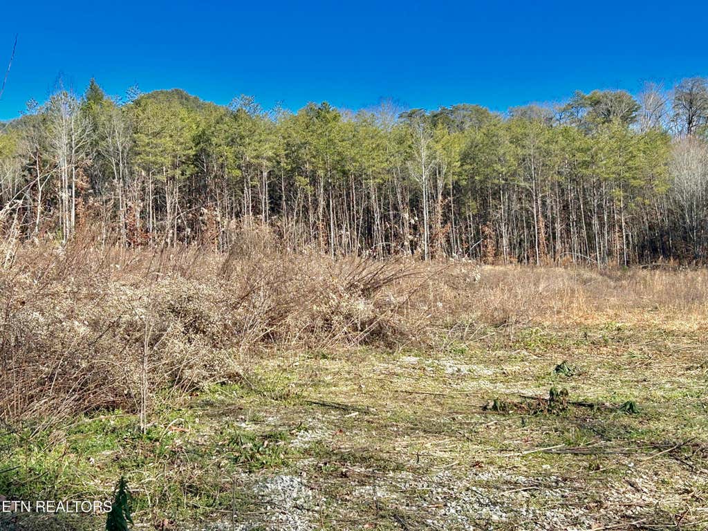 Photo of 504 Wiggins Rd, Tellico Plains, TN 37385 (MLS # 1347932)