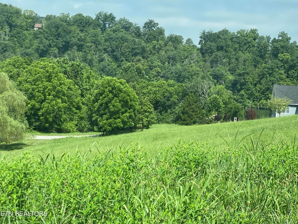 Photo of 105 Marble Bluff Drive, Kingston, TN 37763 (MLS # 1306679)