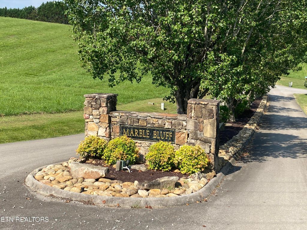 Photo of 105 Marble Bluff Drive, Kingston, TN 37763 (MLS # 1306679)